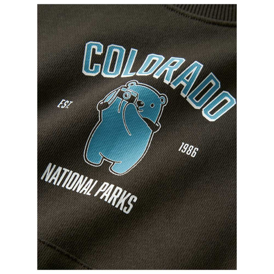 Name It Παιδικό φούτερ Name It Παιδικό φούτερ